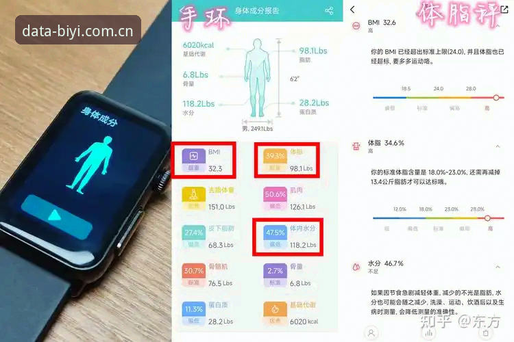必一体育手机版v3.0.0全面解析：从新手到高手的体育数据使用指南